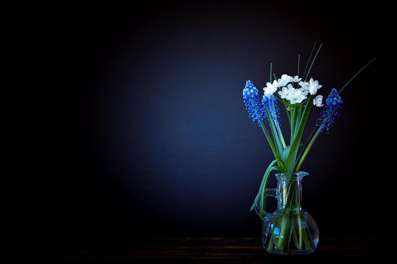 Terrariums and Miniature Gardens